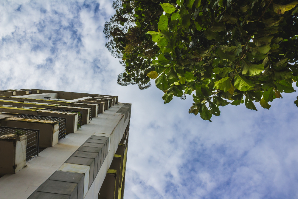 arquitectura sostenible